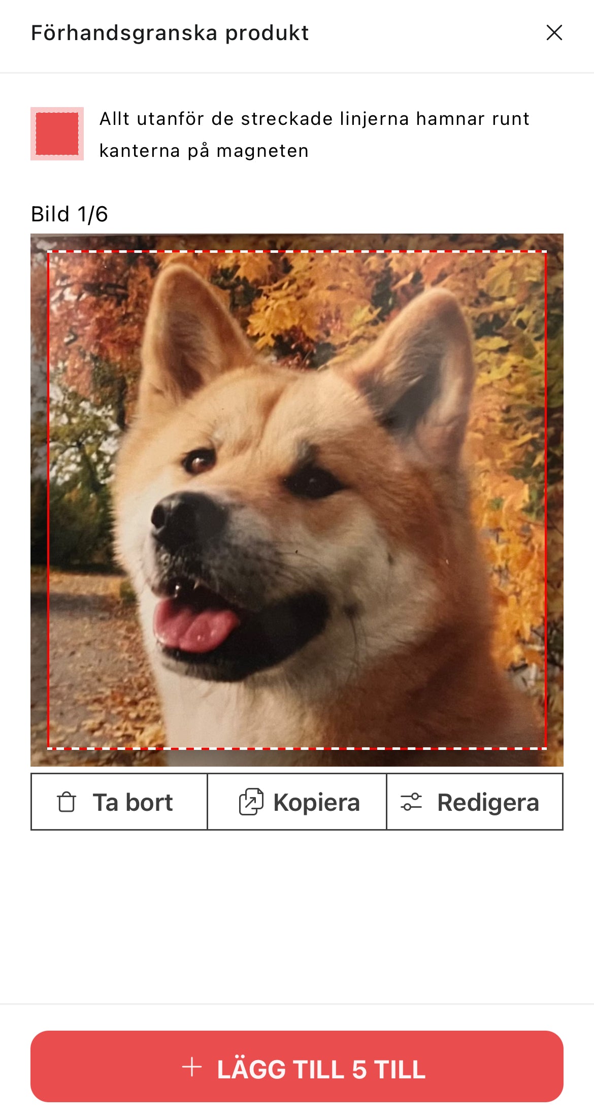 Personliga fotomagneter (6-18 st)