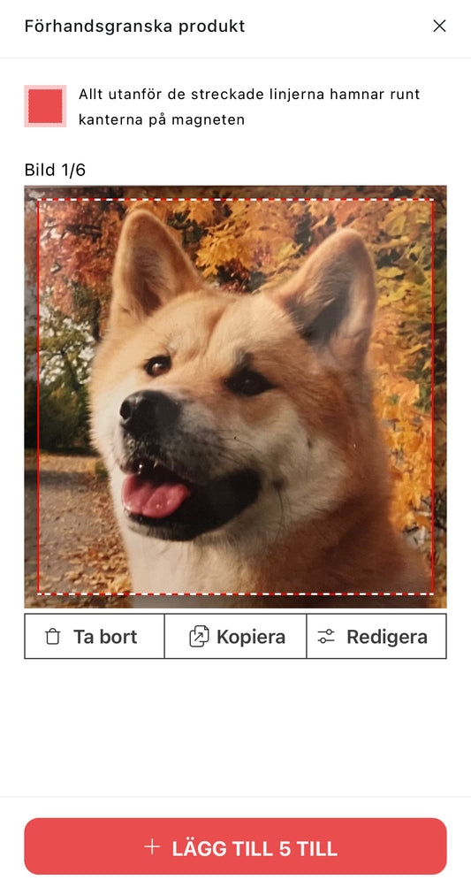 Personliga fotomagneter (6-18 st)